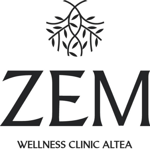 Logotipo zem